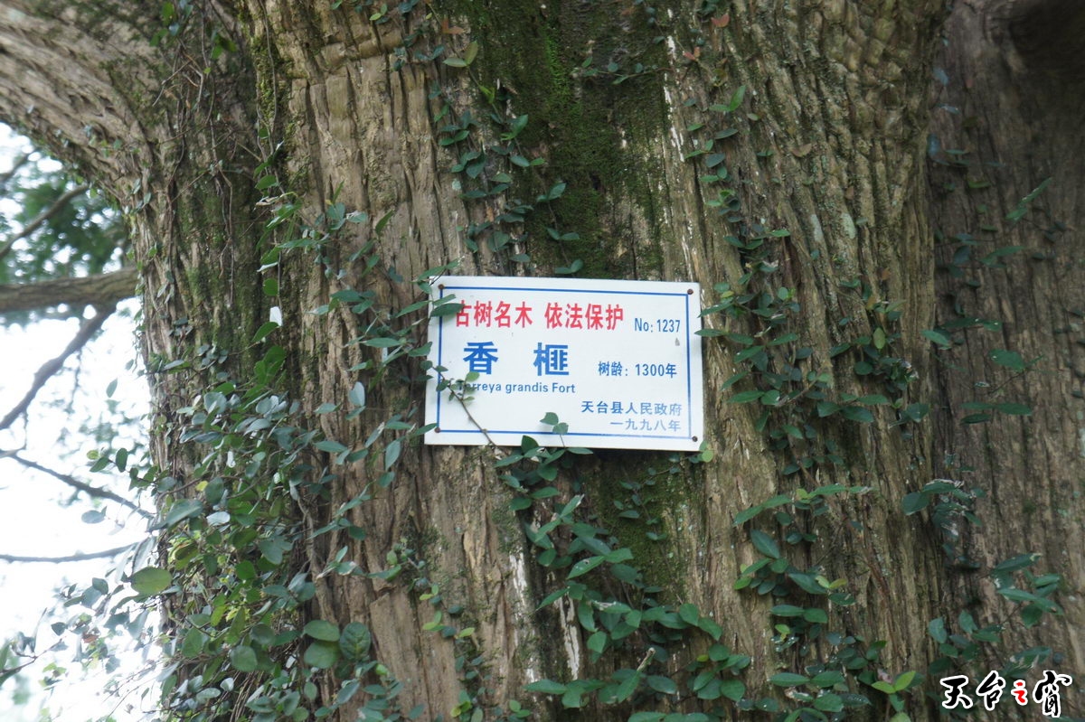 DSC01647_调整大小.JPG