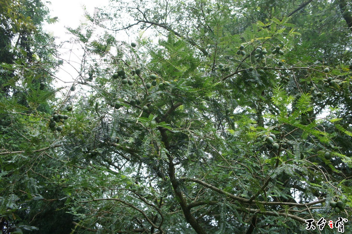 DSC01650_调整大小.JPG