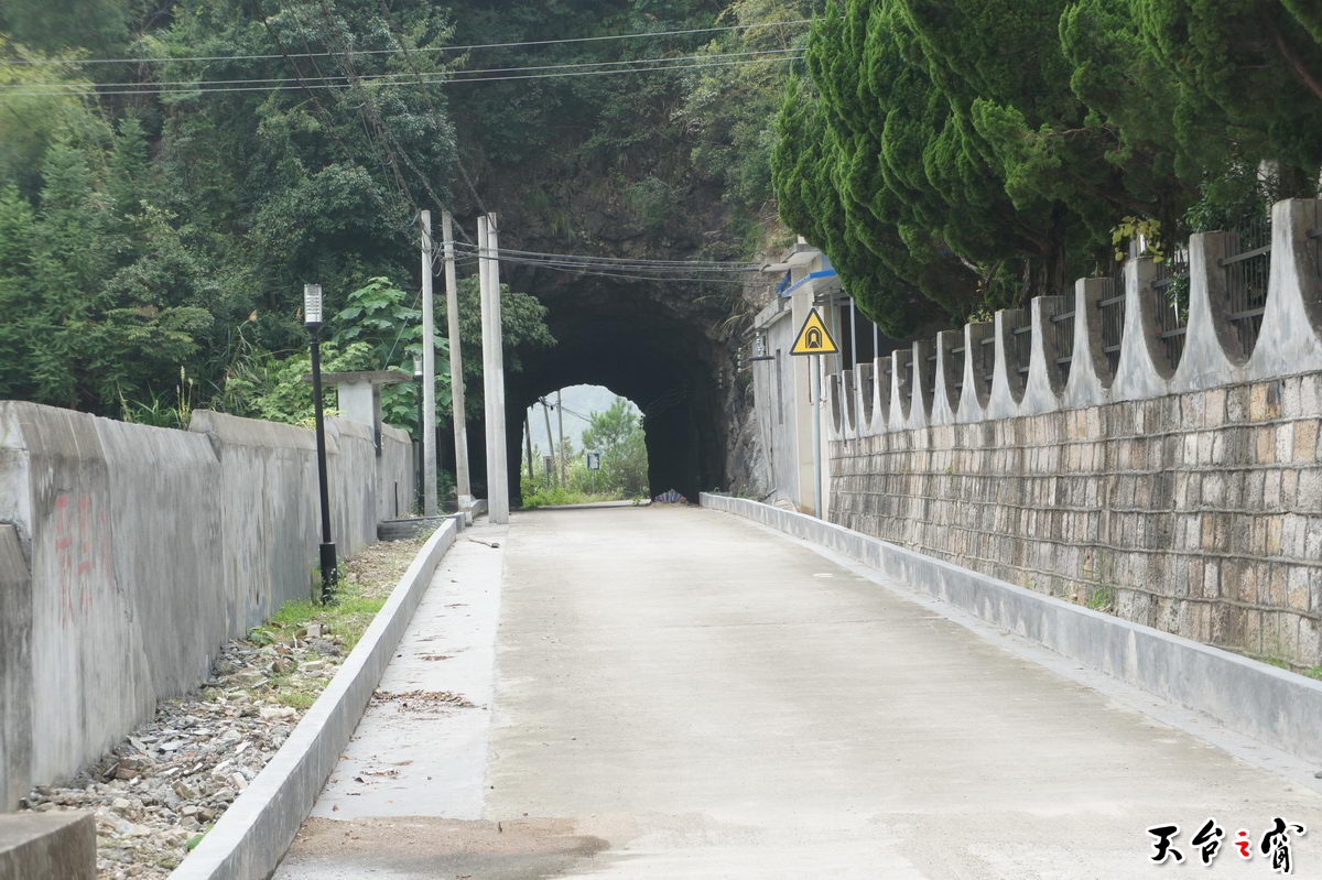 DSC01673_调整大小.JPG