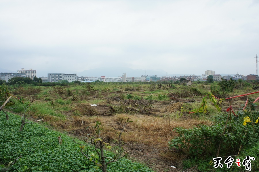 DSC01874_调整大小.JPG