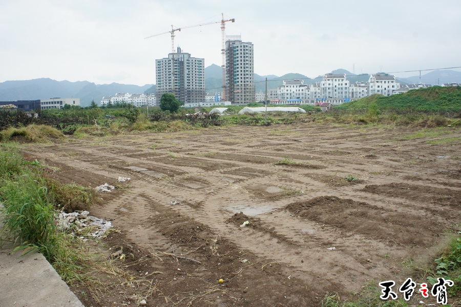 DSC01876_调整大小.JPG