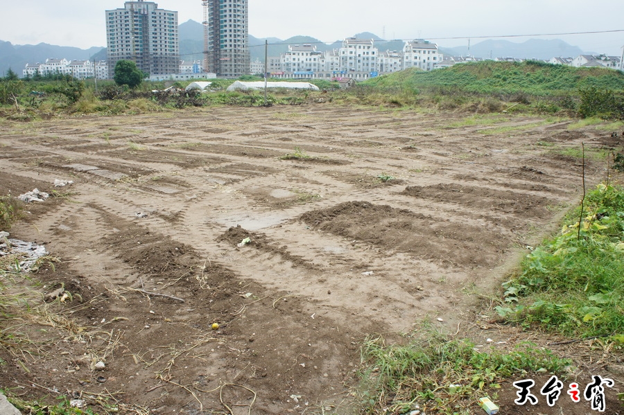 DSC01878_调整大小.JPG