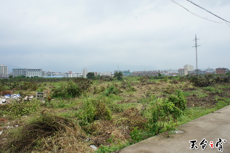 DSC01879_调整大小.JPG
