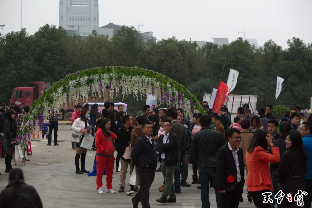 125A8694_调整大小.jpg