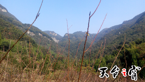 IMG_20141025_153449.jpg