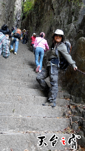 IMG_20141025_115953.jpg
