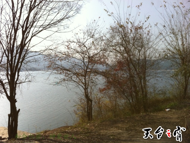IMG_3643.jpg