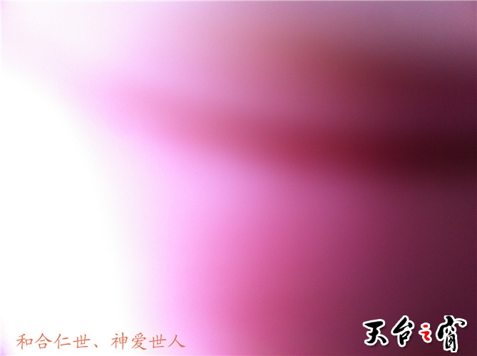 IMG_3707_副本.jpg
