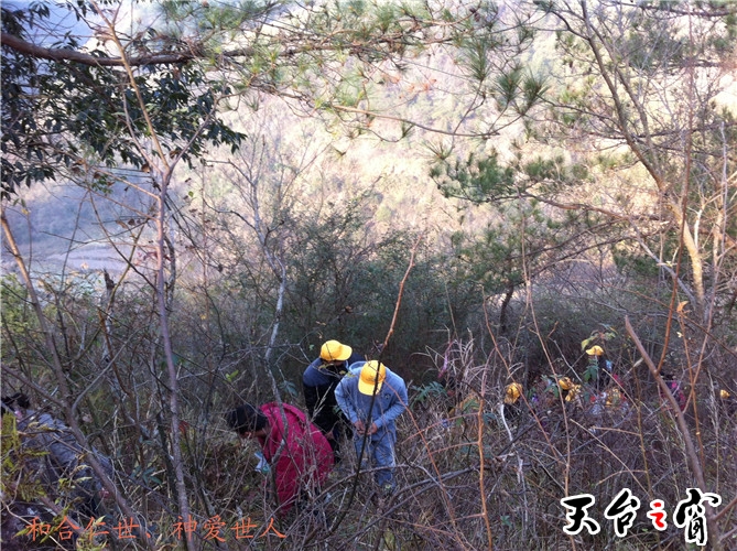 IMG_3709_副本.jpg