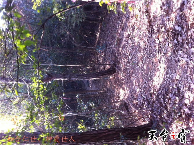 IMG_3747_副本.jpg