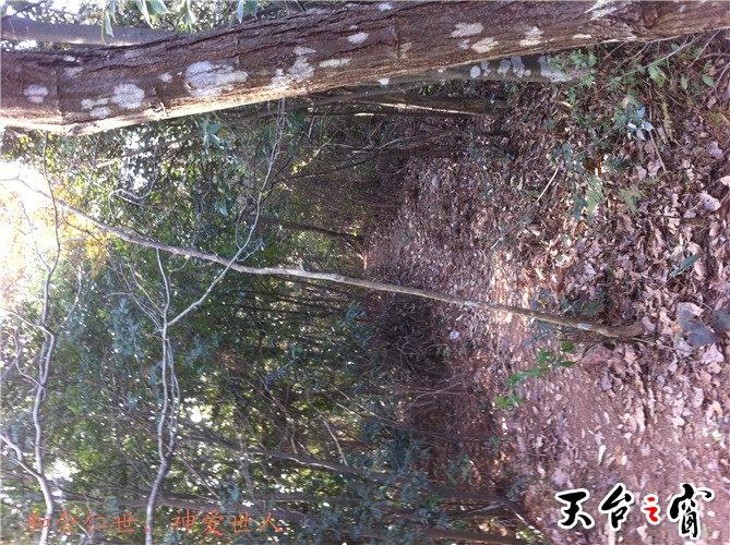 IMG_3749_副本.jpg