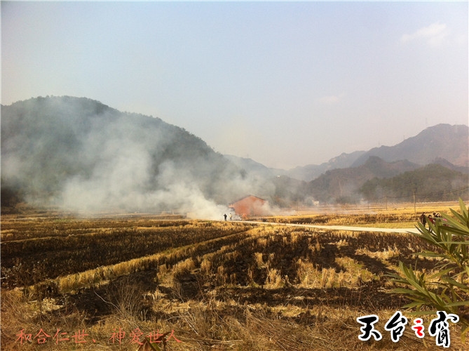 IMG_3819_副本.jpg