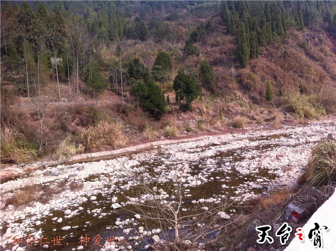 IMG_3803_副本.jpg