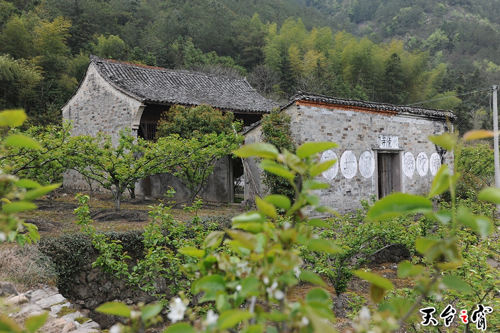 宋代古刹 天台水陆寺遗址