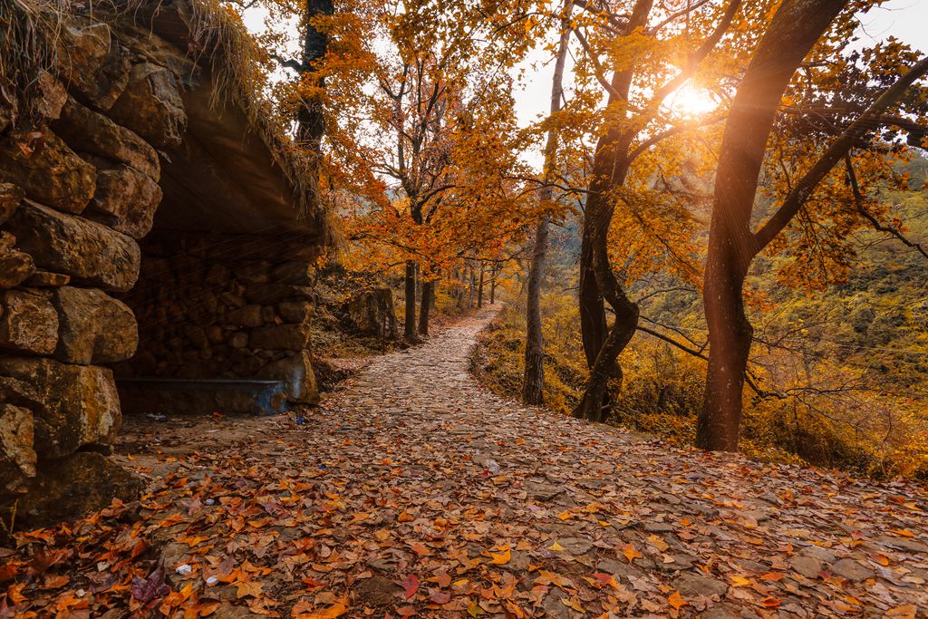 _MG_1404.JPG