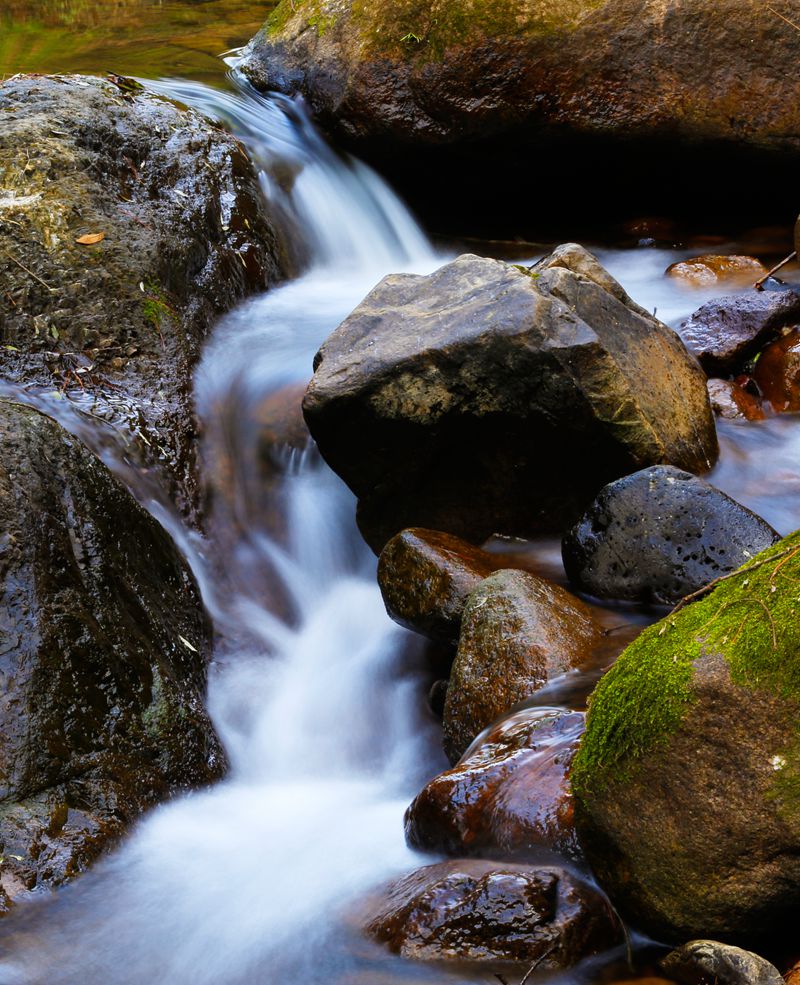 _MG_1499v.jpg