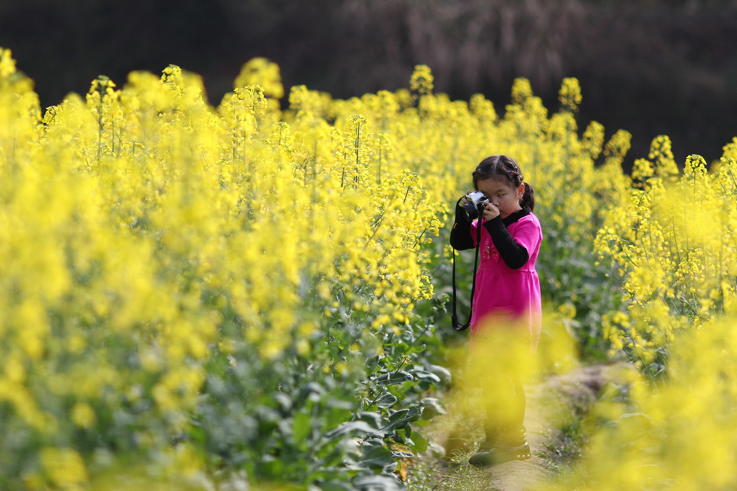 IMG_1413_调整大小.JPG