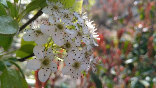 IMG_20160209_103458.jpg