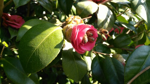 IMG_20160311_144811.jpg