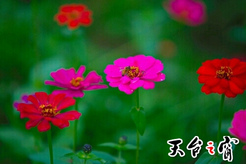 z6eF68ESXa8d.jpg