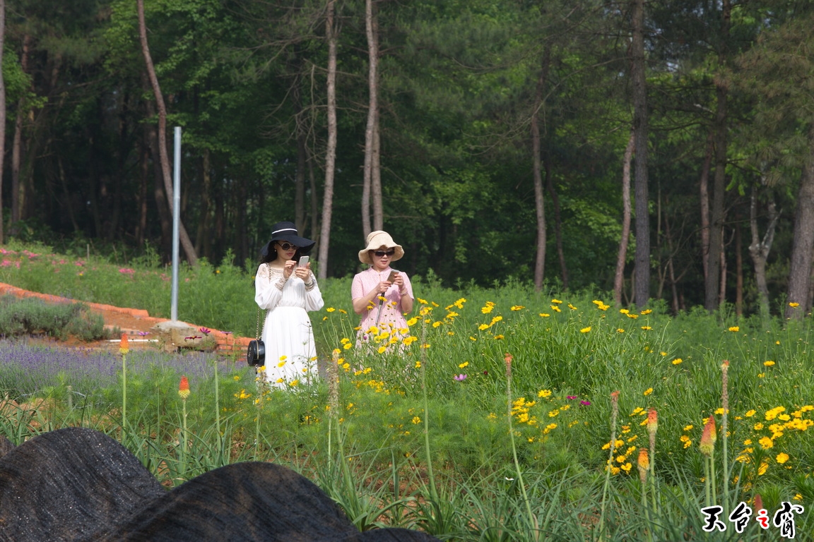 125A3543_调整大小.jpg