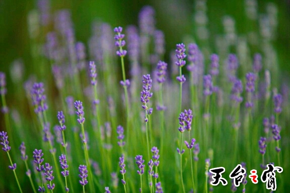 N40J1njO1DkQ.jpg