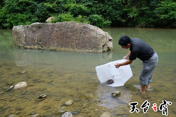 2016071215291924.jpg