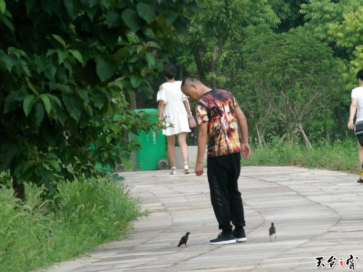 06.jpg