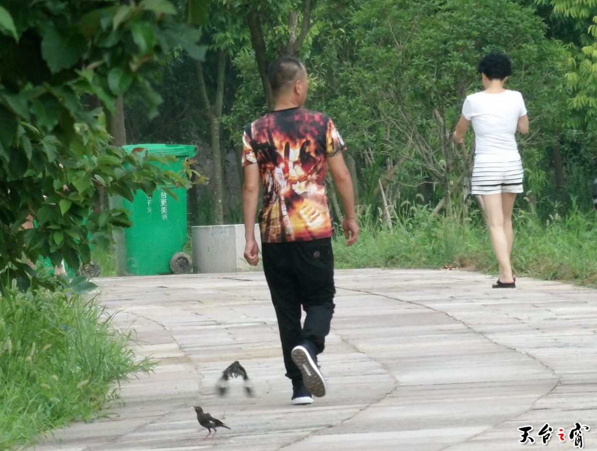 07.jpg