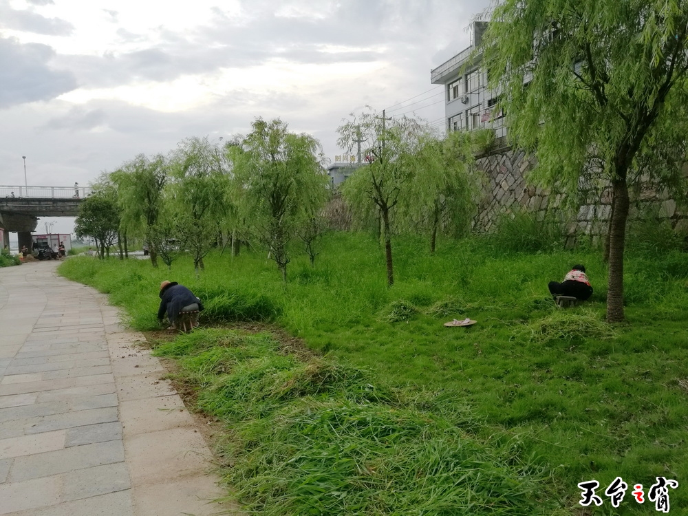 IMG_20160716_171720_调整大小.jpg