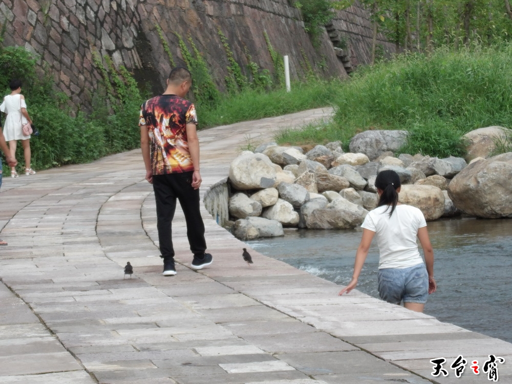 100_0167_调整大小.JPG