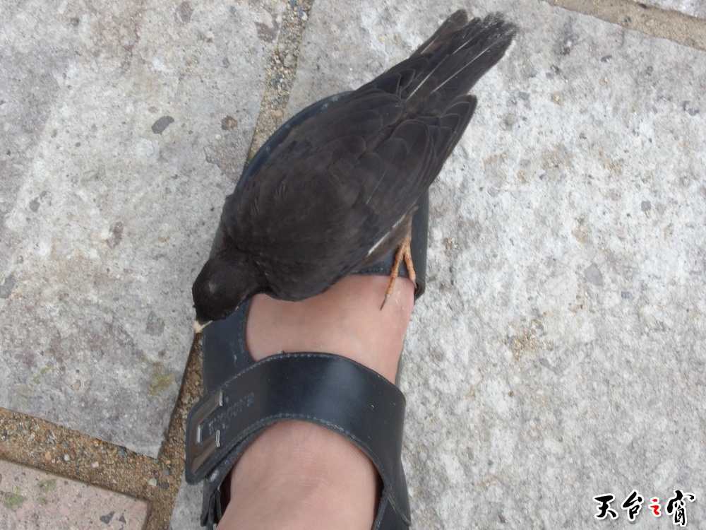100_0202_调整大小.JPG