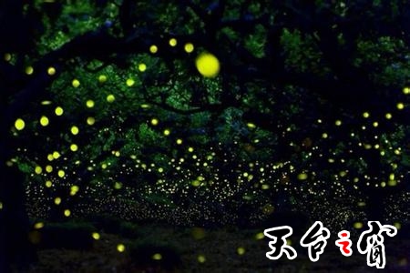 u=1089244447,3294057450&amp;fm=11&amp;gp=0.jpg