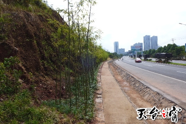 507b9d11591e19376a710d.jpg