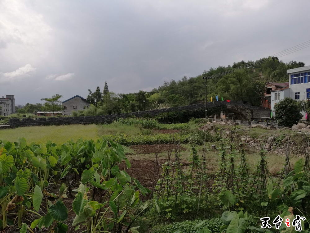 IMG_20160929_142541_调整大小.jpg