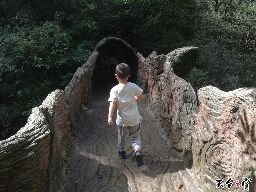 IMG_20161004_102337_调整大小.jpg