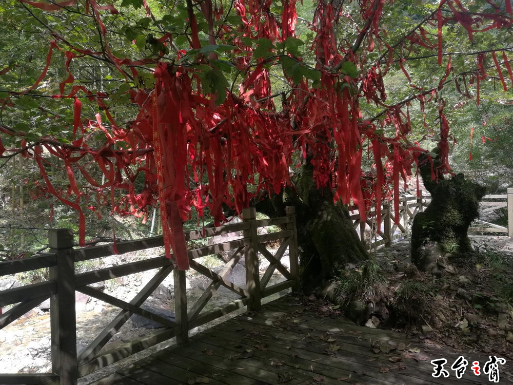 IMG_20161004_111322_调整大小.jpg