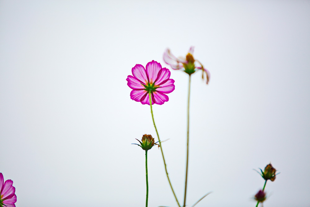 125A4561_调整大小.jpg