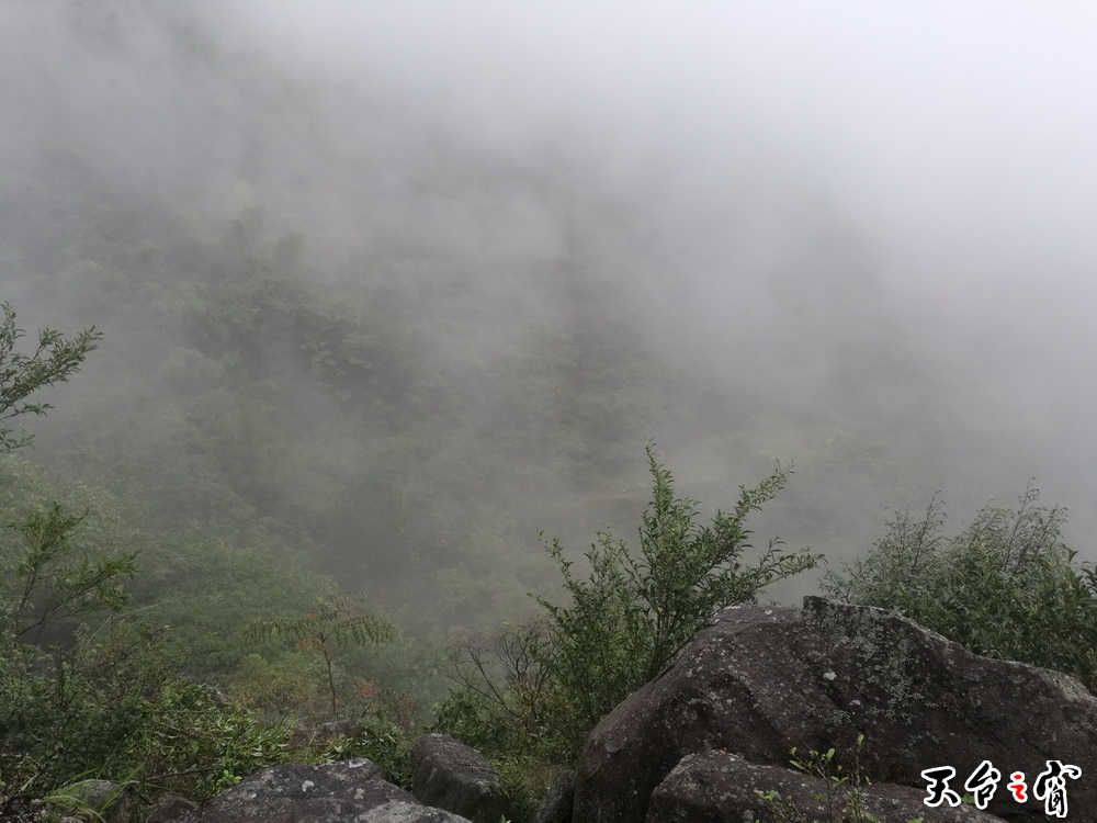 IMG_20161019_084133_调整大小.jpg