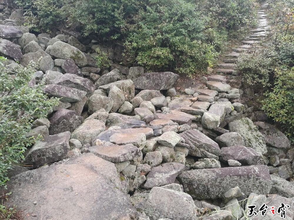 IMG_20161019_092748_调整大小.jpg