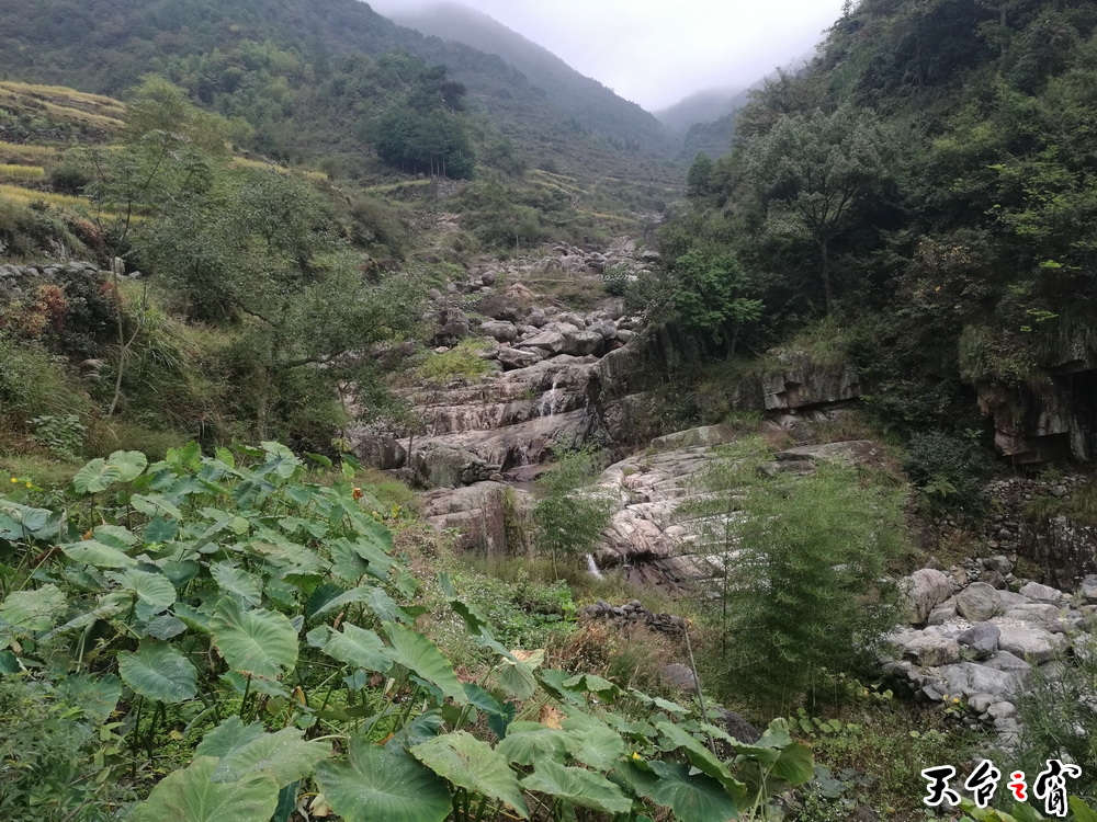 IMG_20161019_124629_调整大小.jpg