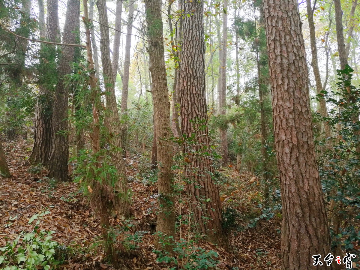 IMG_20161120_112150_调整大小.jpg