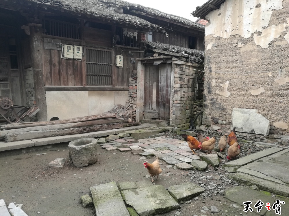 IMG_20161127_103237_调整大小.jpg