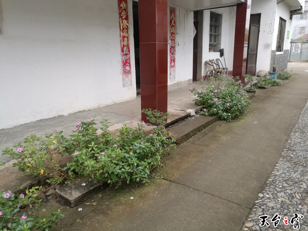 IMG_20161127_104730_调整大小.jpg