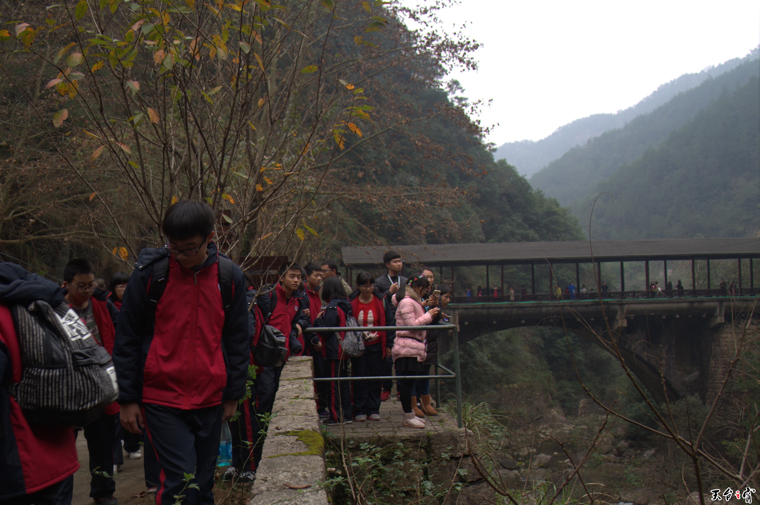 DSC09163.jpg