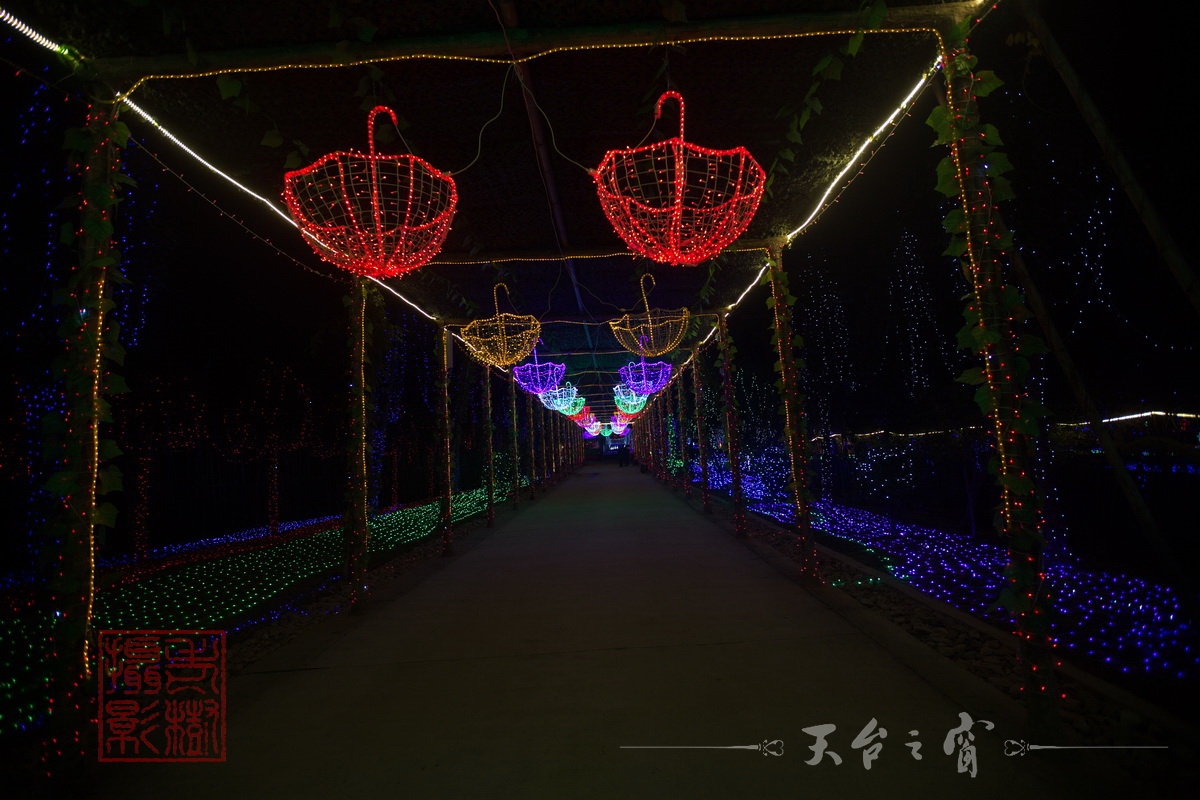 水印125A8576_调整大小.jpg.JPG
