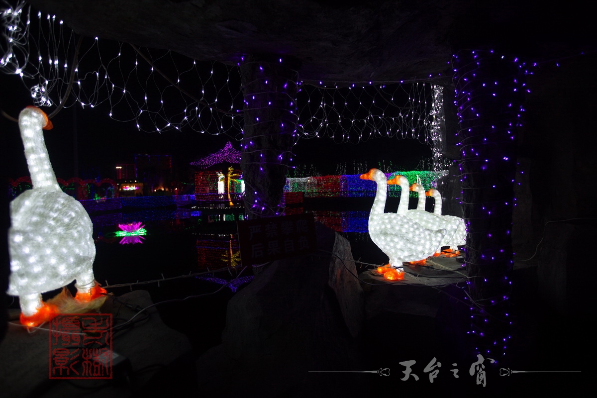 水印125A8624_调整大小.jpg.JPG