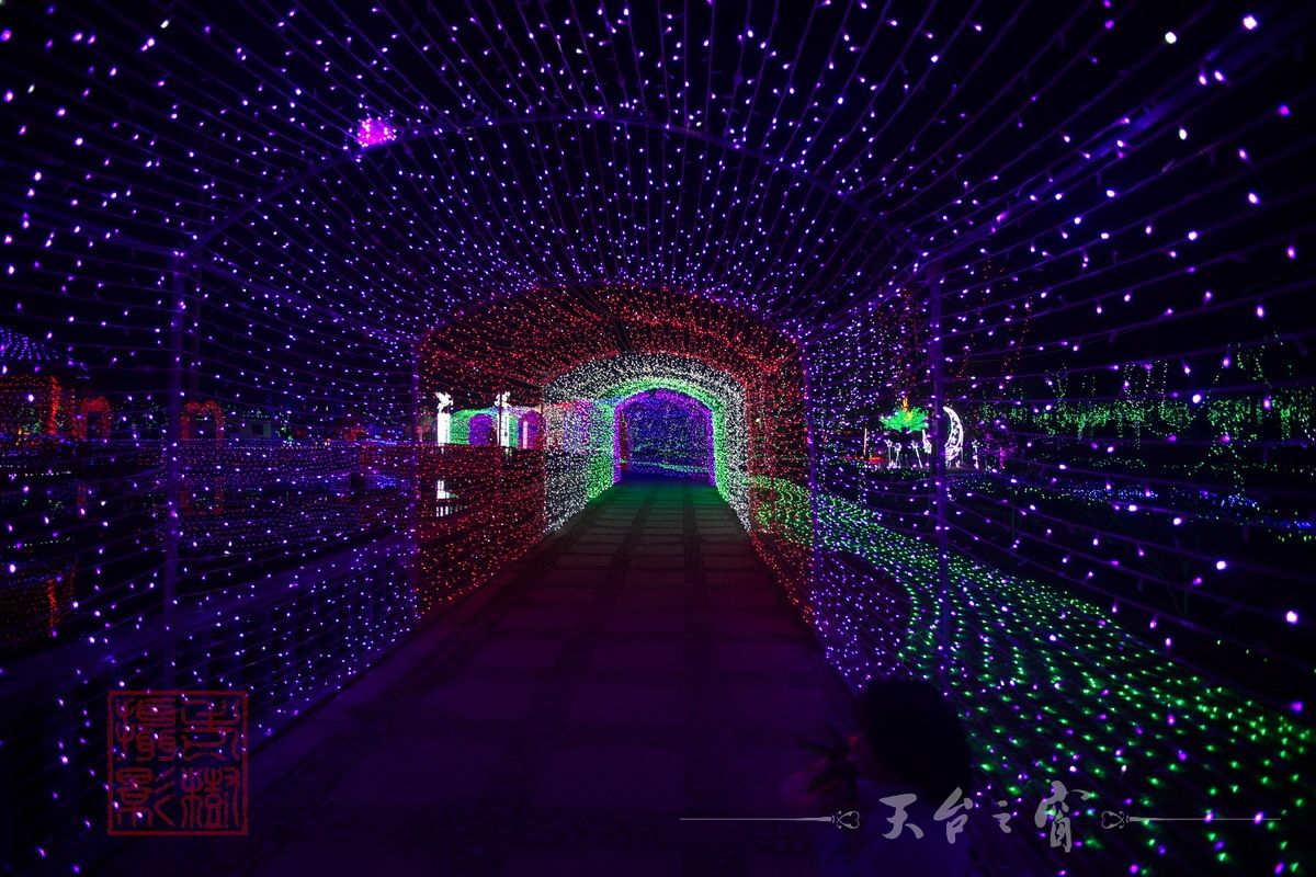 水印125A8661_调整大小.jpg.JPG