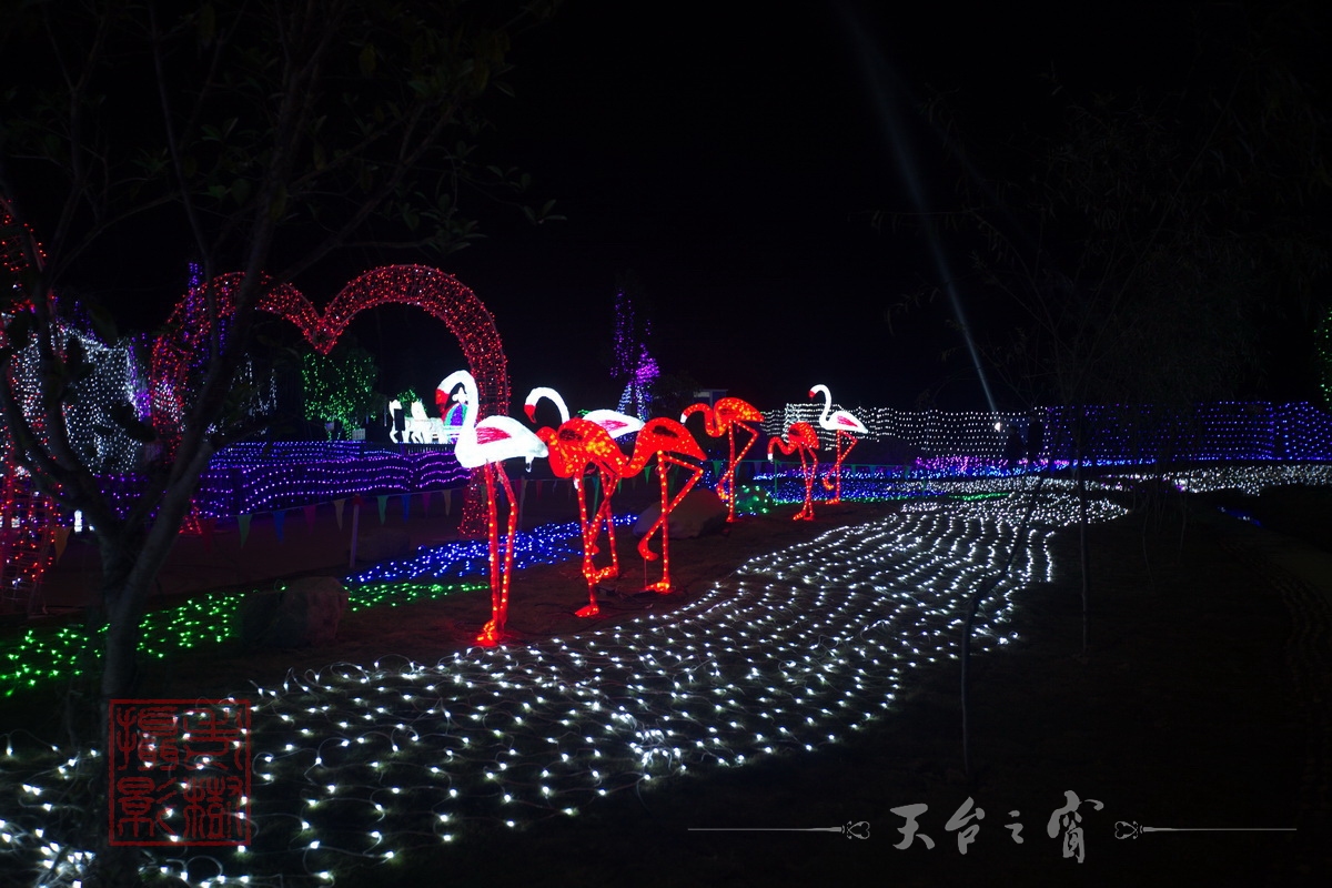 水印125A8778_调整大小.jpg.JPG