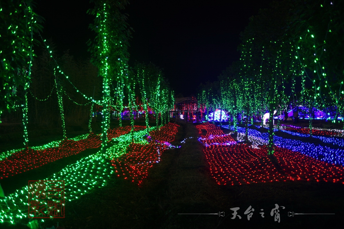 水印125A8800_调整大小.jpg.JPG
